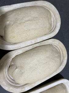 sourdough-in-baneton-bascket
