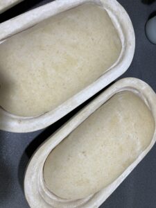 sourdough-in-baneton