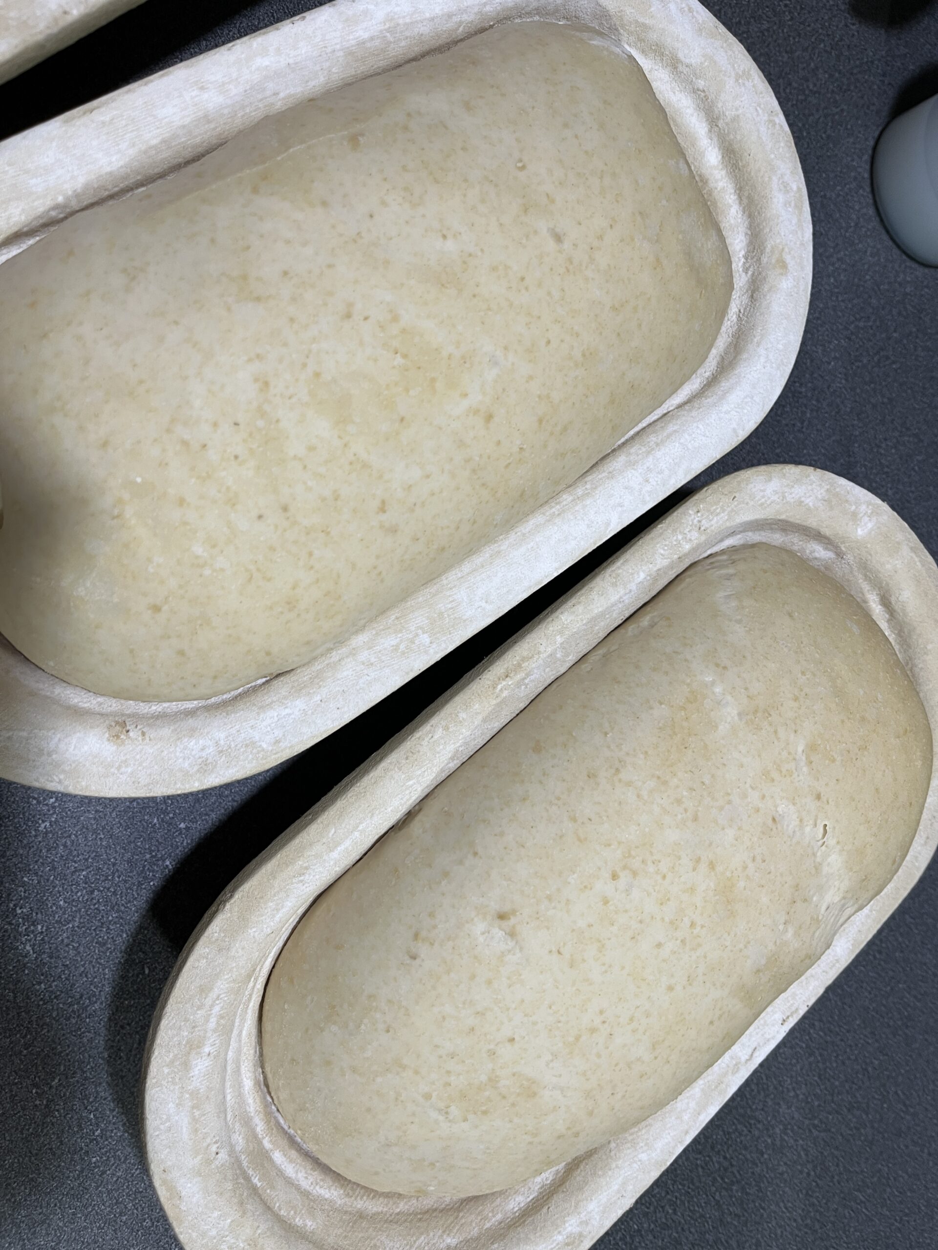 sourdough-in-baneton