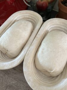 sourdough-justーafter-shapinng