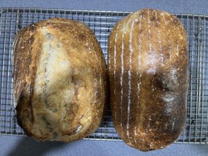 scorin-no-scoring-sourdough